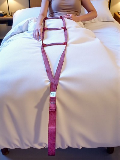 Bed Assist Ladder